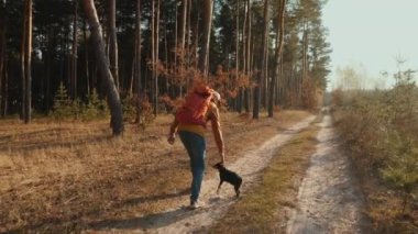 Sırt çantalı genç bir kadının arka görüntüsü. Sonbaharda bir çam ormanından geçen toprak yolda bir köpekle seyahat ediyor.