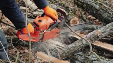 İşçi devrilmiş bir ağaç gövdesini elektrikli testereyle kesiyor, yavaş çekimde yakın çekim.