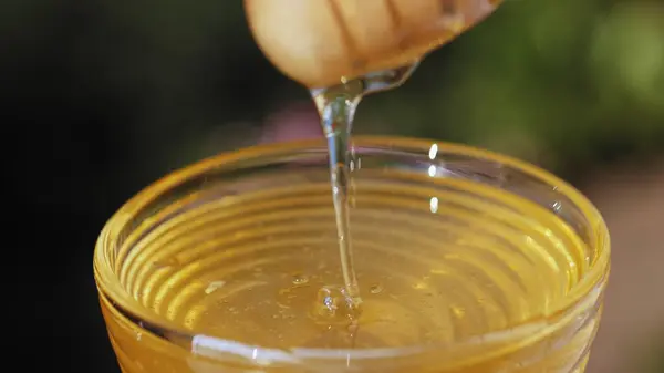 Ahşap tatlım sopa. Bal damlıyor. Bir kepçe ile ekstraksiyon tatlım. Tatlım drizzler