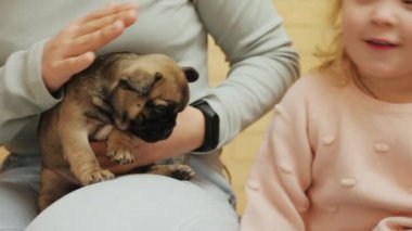 Bir çocuk ve bir yetişkin, yetişkinlerin kucağında oturan küçük bir köpeği okşuyor.