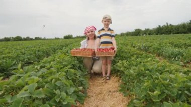 Bir anne ve oğlu tarlada çilek topluyor. Kırmızı ve beyaz eşarplı kadın bir sepet çilek tutuyor, ve çizgili gömlek ve beyzbol şapkalı çocuk da bir sepet dolusu