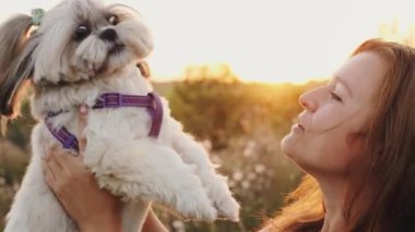 Genç bir kadın boş zamanını gün batımında köpeğiyle birlikte doğada geçirir. Shih tzu sahibinin burnunu yalıyor, yakın plan.