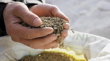 Yavaş çekimde torbaya düşen bir çiftçinin ellerindeki granülatif yem.