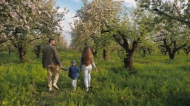 Bir aile çiçek açmış bir elma bahçesinden geçiyor. Parlak bir bahar günü, yeşil çimenler ve çiçek açan ağaçlar doğayla barışçıl ve uyumlu bir atmosfer yaratır.