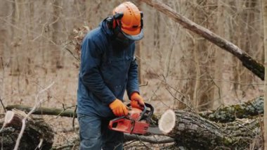 Kesilmiş bir ağaç gövdesi bir oduncu tarafından kesilir. Ormanların tahrip edilmesi, orman kesimi kavramı
