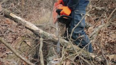 İşçi devrilmiş bir ağaç gövdesini elektrikli testereyle kesiyor, yavaş çekimde yakın çekim.