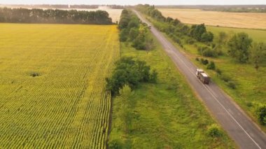 Tarımsal tarlalar ve yeşil kırsal alanlar arasında giden arabaların hava görüntüsü
