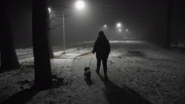 Siste sokak ışıklarına karşı tasmalı bir köpek figürü. Islak zeminde yansımaları olan karanlık bir atmosfer.