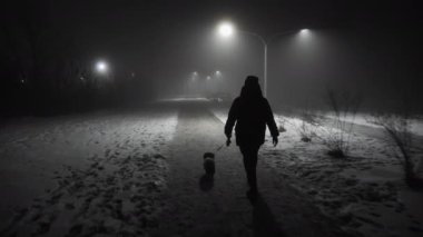Karanlık bir kış geçidinde sokak lambalarıyla aydınlatılmış bir köpek gezdirir. Atmosfer gizemli, gece vakti ve sessiz, hafif bir sis var.