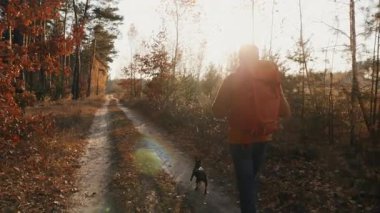 Sırt çantalı genç bir kadının arka görüntüsü. Sonbaharda bir çam ormanından geçen toprak yolda bir köpekle seyahat ediyor.