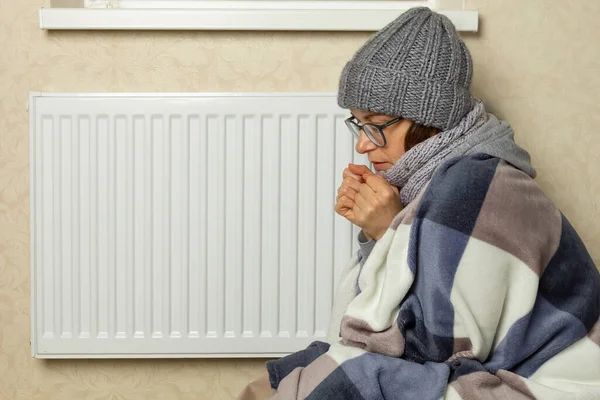 Eine Erfrorene Frau Warmer Kleidung Wärmt Sich Einem Kühlraum Neben lizenzfreie Stockfotos
