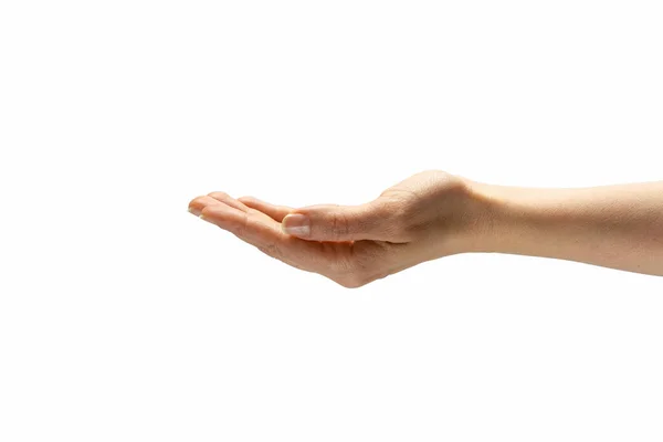Ręka Kobiety Pokazuje Gest Niewidzialnego Obiektu Białym Odosobnionym Tle Miejsce — Zdjęcie stockowe