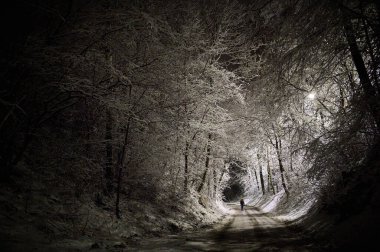 Karla kaplı bir vadide, fenerin ışığıyla aydınlatılmış bir orman yolu.