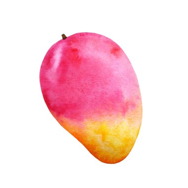 Beyaz arka planda izole edilmiş bir şekilde suluboya ile boyanmış. El çizimi çizimi. Egzotik tropikal meyve.