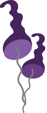 Çizgi film tarzında iki mantar mantarı..