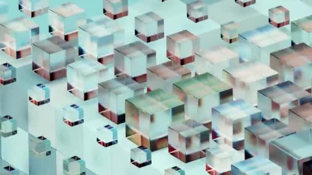 Динамическая Анимация Кубиков Цветного Стекла Абстрактный Оживленный Фон Концепция Представления — стоковое видео