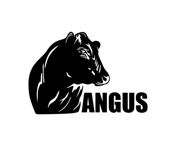 GERÇEK ANGUS KATTLE BAŞI