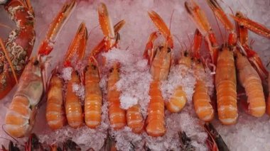 Yerel bir restoranda satılık deniz ürünleri sergileniyor. Norveç 'teki Bergen pazarından deniz ürünleri. Piyasada sergilenen yeni düzenleme. Istakoz, karides, balık, kabuklu deniz hayvanı, kerevit ve yeşillik. Deniz ürünleri çeşitleri