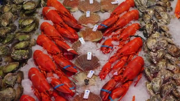 地元のレストランで販売される魚介類 ベルゲン市場でノルウェーからの魚介類 市場に表示される新鮮な配置 ロブスター ザリガニ 魚介類 — ストック動画