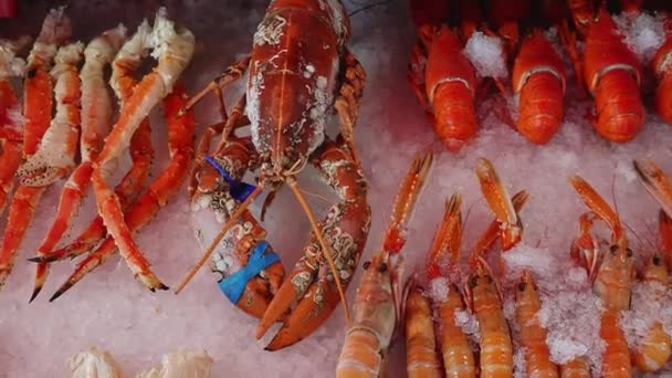 Zeevruchten Koop Aangeboden Een Lokaal Restaurant Zeevoedsel Uit Noorwegen Bergen — Stockvideo