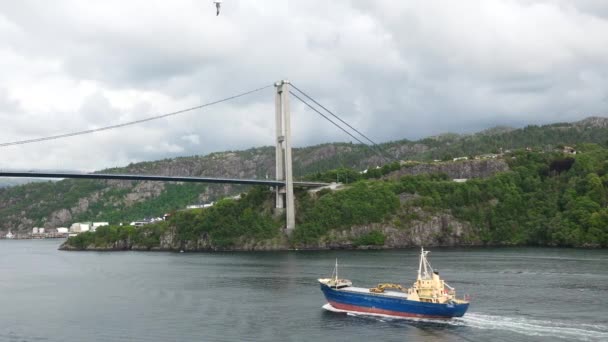 港からの現代ノルウェーの橋のパノラマビュー フィヨルドの上に巨大な橋 ノルウェーのマウンテンバレーに架かる大橋 — ストック動画