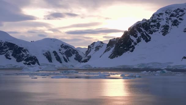 Prachtige Natuur Antarctisch Landschap Ijsbergen Gletsjers Bergen Bij Zonsondergang Klimaatverandering — Stockvideo