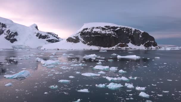 Piękna Natura Antarktyczny Krajobraz Góry Lodowe Lodowce Góry Zachodzie Słońca — Wideo stockowe