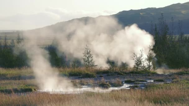 Ijsland Warme Stoom Boven Grond Rook Fumarolen Actieve Zwavelbronnen Geothermische — Stockvideo