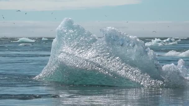 Global Uppvärmning Och Klimatförändringar Smältande Glaciär Island Isberg Smälter Vid — Stockvideo