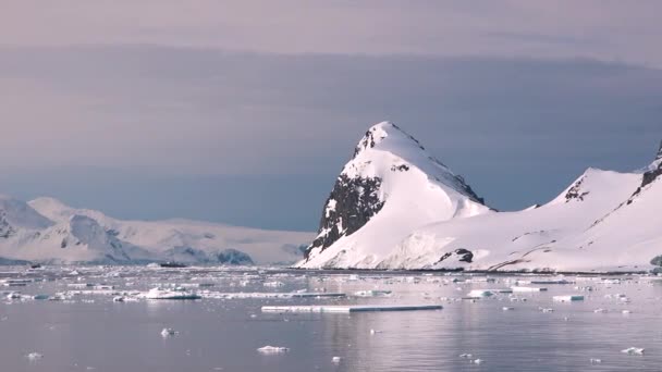 Antarktyda Piękna Natura Krajobraz Górami Lodowymi Oceanie Górach Lodowcach Globalne — Wideo stockowe
