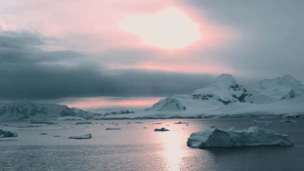 南极洲 Icebergs 全球变暖和气候变化 美丽的大自然多雪的高山和结冰的海岸 美丽的蓝色冰山 镜像反射漂浮在开阔的海洋中 — 图库视频影像