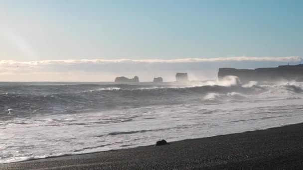Μεγάλα Βράχια Στον Ατλαντικό Ωκεανό Ισλανδία Κύματα Του Ατλαντικού Ωκεανού — Αρχείο Βίντεο