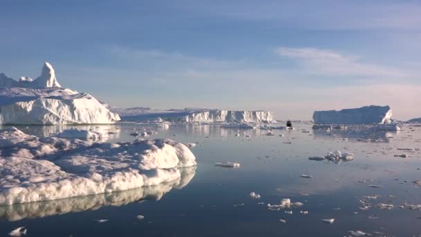 Icebergs Océano Paisaje Antártico Maravillas Naturaleza Calentamiento Global Cambio Climático — Vídeos de Stock