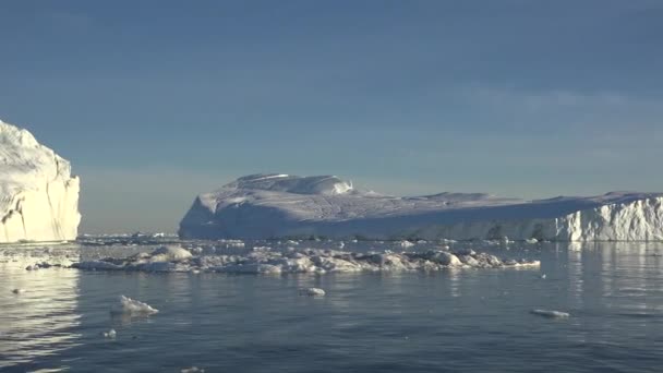 Айсберги Океане Антарктический Пейзаж Чудеса Природы Глобальное Потепление Изменение Климата — стоковое видео