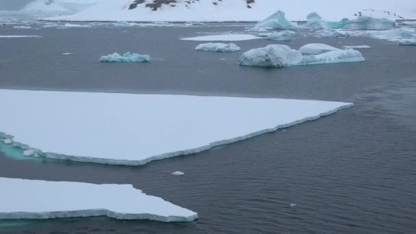 Природа Айсберги Арктический Зимний Пейзаж Проблеме Глобального Потепления Айсберги Тают — стоковое видео