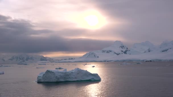 大自然 Icebergs 北极冬季景观面临全球暖化问题 冰山在绿松石湾融化 极地自然环境中的冰川 沙漠白色土地 天气与气候变化 — 图库视频影像