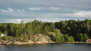 Stockholm Takımadaları. İsveç takımadaları yazın güneşli bir günde. Sahildeki yeşil orman ağaçları. İsveç doğası. Stockholm takımadalarındaki adadaki orman, Baltık Denizi