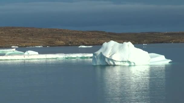 Arktische Landschaft Eisberge Und Globale Erwärmung Arktischer Gletscher Polarregion Antarktis — Stockvideo
