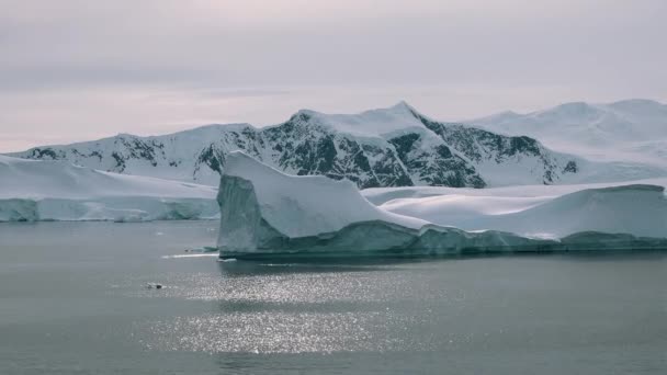 Ledovce Tající Ledovec Kousky Oceánu Moře Obrovský Kus Ledovce Ledovce — Stock video