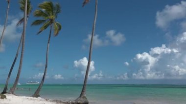 Okyanusun kumlu kıyısında bir palmiye ağacı. Mavi deniz dalgaları. Deniz sörfü üzerinde bulutlu mavi bir gökyüzünün parlak arkaplanı. Sarı kum üzerinde parlak palmiye ağaçları olan doğal tropik plaj..