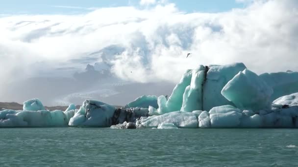 Іберія Глобальне Потепління Ікеберги Тануть Бірюзовій Океанічній Бухті Льодовик Полярному — стокове відео