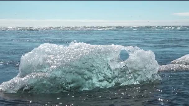 アイスバーグと地球温暖化 氷山はターコイズの海湾で溶けている 極地の自然環境における氷河 北極の冬の風景と地球温暖化の問題 アイスランドの風景 生態学と気候変動について — ストック動画