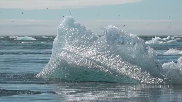 氷河と氷山についてです 地球温暖化 気候変動 気候変動 地球上の平均気温の上昇は氷河を溶かし 北極と南極の氷山の形成につながっています — ストック動画