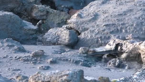 Lama Cinzenta Borbulhante Fechar Área Geotérmica Piscina Lama Vulcânica Geotérmica — Vídeo de Stock