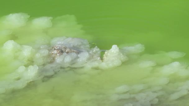 硫磺泉和游泳池 硫磺泉创造了异域五彩斑斓的风景 矿物晶莹水的气泡自然泉 — 图库视频影像