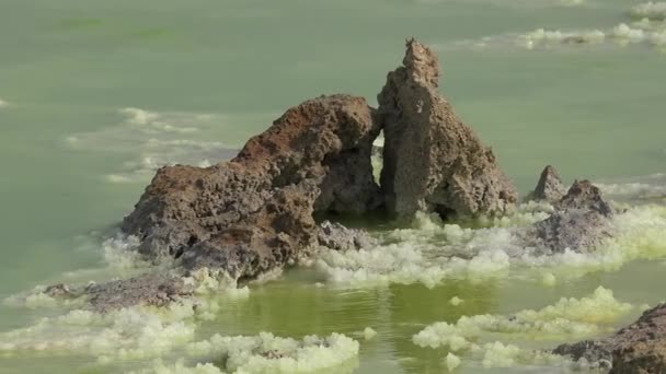 ダロル硫黄泉とプール 硫黄泉は 不思議なカラフルで美しい風景を作り出しています ミネラルスパークリングウォーターの自然な泉を泡立てる — ストック動画