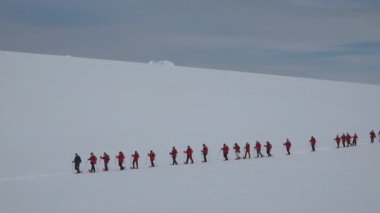 Antarktika 'ya git. Kar ayakkabılarında kırmızı giyen turistler. Antarktika manzarasının arka planında kayakçılar. Kırmızı elbiseli insanlar karlı dağlarda kayak yapıyor. Seyahat ve Spor Yaşam Tarzı.