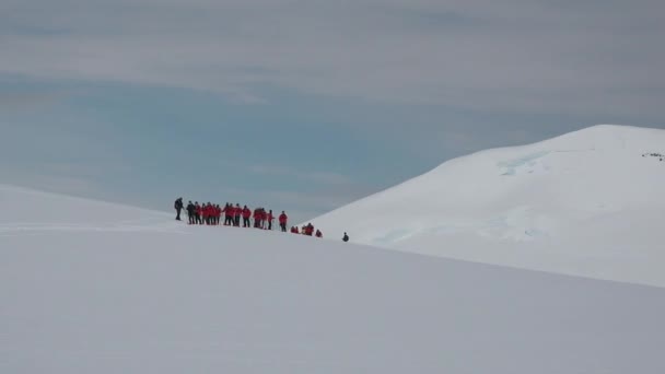 Подорож Антарктиду Туристи Червоному Кольорі Снігоступах Катання Лижах Тлі Антарктичного — стокове відео
