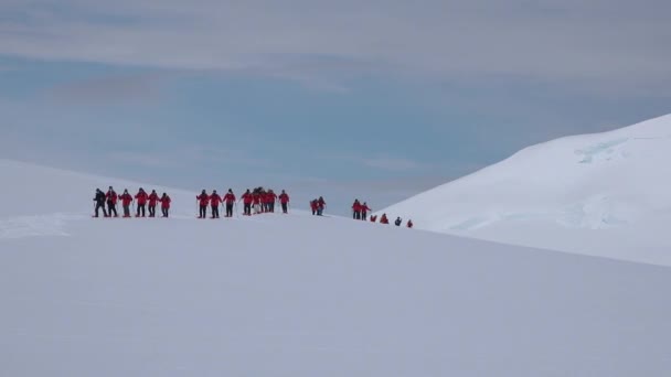 南極へ旅行する スノーシューで赤い観光客 南極の風景の背景にあるスキーヤー 雪山でスキーをする赤いスーツの人々 旅とスポーツライフスタイル — ストック動画