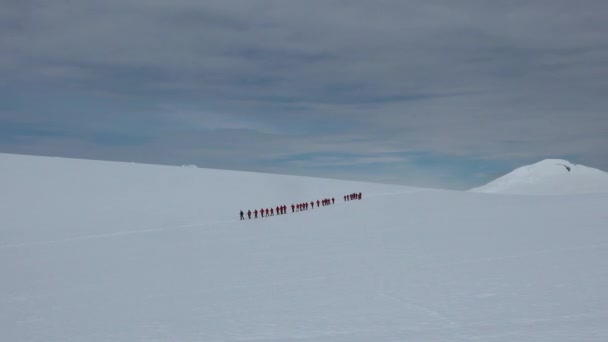 Поездка Антарктиду Туристы Красном Снегоступах Лыжники Фоне Антарктического Пейзажа Люди — стоковое видео